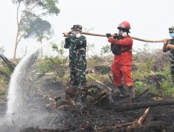 Danrem 044/Gapo, Perkuat Sinergi Penanganan Karhutla di Kabupaten OKI