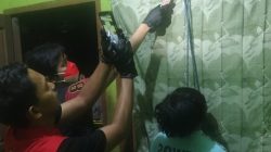 Geger, Sebelum Ditemukan Meninggal di Rumahnya, Pria di Plaju Sempat Buat Status WA Minta Maaf