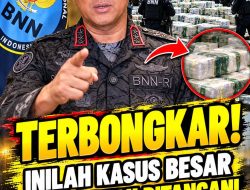 Jejak Suyudi Ario Seto di BNN, Dari Pengembangan Kasus 2 Ton Sabu Hingga Kini Jadi Kapolri