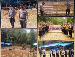Dukung Pelestarian Budaya, Polres Toraja Utara Gelar Pengamanan dan Pengawasan Tradisi Adat Adu Kerbau di Tondon