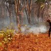Babinsa Bergerak Cepat, Padamkan Kebakaran Lahan Karet di Muting Merauke – Papua Selatan