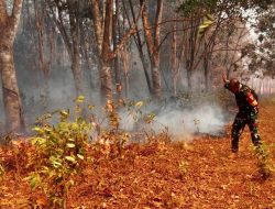 Babinsa Bergerak Cepat, Padamkan Kebakaran Lahan Karet di Muting Merauke – Papua Selatan