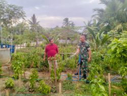 Pererat Silaturahmi, Babinsa Bantu Warga Siram Tanaman Cabai di Wilayah Binaan