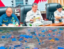 Penataan Tambang Maluku Buka Ruang bagi Koperasi Ber-IPR dan Pelaku Usaha Legal