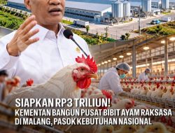 SIAPKAN Rp3 TRILIUN! Kementan Bangun Pusat Bibit Ayam Raksasa di Malang, Pasok Kebutuhan Nasional