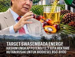 Target Swasembada Energi! Hashim Ungkap Potensi 12,7 Juta Hektare Hutan Rusak untuk Biodiesel B50-B100