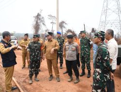 Tak Boleh Ada Pembiaran! Danrem 044/Gapo Soroti Karhutla di Banyuasin