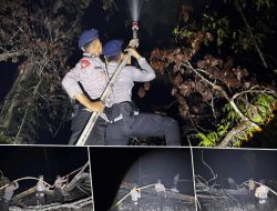Brimob Kaltara Bergerak Tangani Karhutla di Desa Kelapis, Polisi Bersama Masyarakat Lindungi Lingkungan