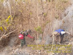 Sigap Cegah Perambatan Api, Babinsa dan Warga Bahu-Membahu Tangani Kebakaran Lahan di Desa Polindu