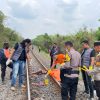 Respons Cepat Laporan Warga, Polres Prabumulih Evakuasi Korban Tertemper Kereta Api di Rambang Kapak Tengah