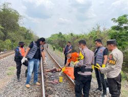 Respons Cepat Laporan Warga, Polres Prabumulih Evakuasi Korban Tertemper Kereta Api di Rambang Kapak Tengah