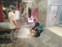 Rahasia di Balik Senyum Petani, Langkah Nyata Babinsa Jaga Pasokan Beras Desa Punti