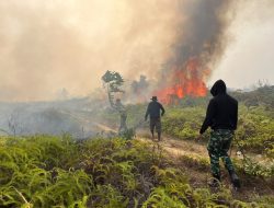 Pos Kotis Satgas Yonif 147/KGJ Bersama Warga Bergerak Cepat Padamkan Karhutla di Distrik Meyado