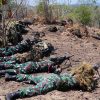 TNI dan ADF melaksanakan Latgabma Keris Woomera di Situbondo