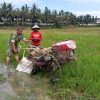 Babinsa Nisam Pegang Kemudi Traktor, Dukung Petani Siapkan Lahan Tanam