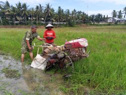 Babinsa Nisam Pegang Kemudi Traktor, Dukung Petani Siapkan Lahan Tanam