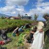 Bantu Perekonomian Warga Kampung Pasir Putih, Satgas Habema Yonif 2 Marinir Belanja Hasil Bumi Mama-Mana Dengan Senyuman
