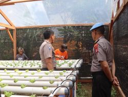 Polresta Sorong Kota Berdayakan Warga Kokoda Lewat Kebun Hidroponik