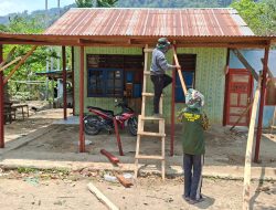 Tiga Unit Rumah di Yamboi Gunung Capai Tahap Pemasangan Atap Oleh Satgas TMMD Ke-130 Kodim 1808/Mansel