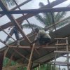 ‎TNI AD Kebut Pembangunan Rumah Layak Huni untuk Warga di Simpang Keuramat Aceh Utara