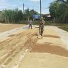 Dari Gabah Menjadi Beras, Babinsa Matangkuli Turun Langsung Bantu Warga di Kilang Padi