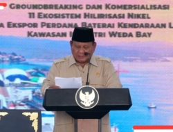 Investasi IWIP Tembus US$20 Miliar, Serap Lebih dari 100 Ribu Tenaga Kerja