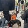 Cegah Ancaman Bom, Unit K-9 Sisir Area Pengamanan MotoGP Mandalika