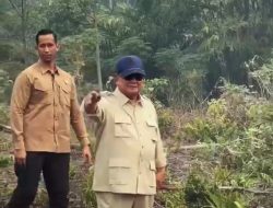 Karhutla Kalimantan Jadi Perhatian, Prabowo Tegaskan Penindakan terhadap Pelaku Pembakaran Lahan